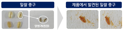 밀쌀 종구의 형태 설명 이미지