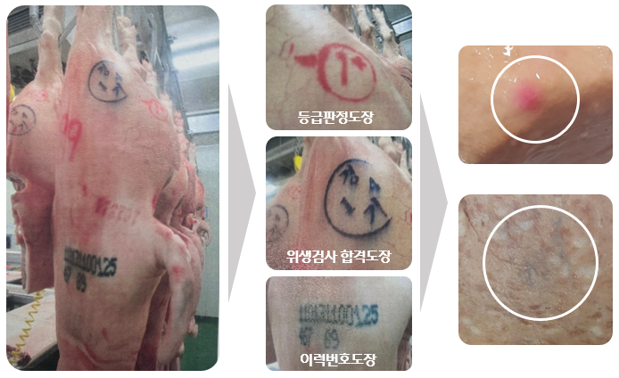 돼지 고기 검인 도장 형태 및 제품 발견 사례 사진