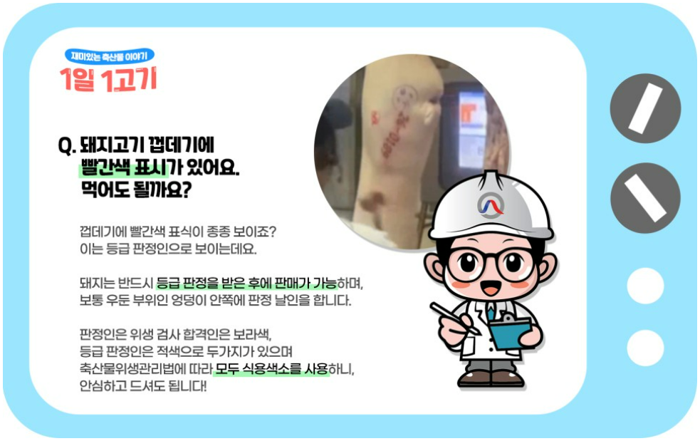 돼지고기 껍데기에 빨간색 표시가 있어요. 먹어도 될까요? 껍데기에 빨간색 표식이 종종 보이죠? 이는 등급 판정인으로 보이는데요. 돼지는 반드시 등급 판정을 받은 후에 판매가 가능하며, 보통 우둔 부위인 엉덩이 안쪽에 판정 날일을 합니다. 판정인은 위생 검사 합격인은 보라색, 등급 판정인은 적색으로 두가지가 있으며 축산물위생관리법에 따라 모두 식용색소를 사용하니, 안심하시고 드셔도 됩니다.