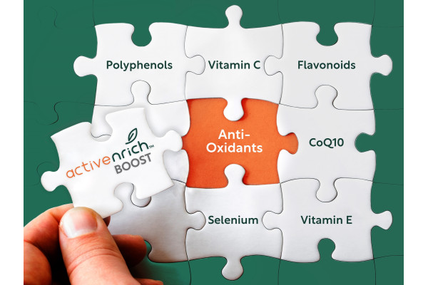 CJ제일제당 '액티브엔리치 부스트(ActiveNrich BOOST)' 제품 로고가 포함된 이미지,시계방향으로 Polyphenls, Vitamin C, Flavonoids, CoQ10, Selenium, Vitamin E, Anti-Oxidants, ActiveNrich BOOST 