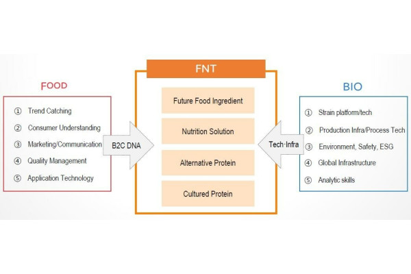CJ FNT's business structure