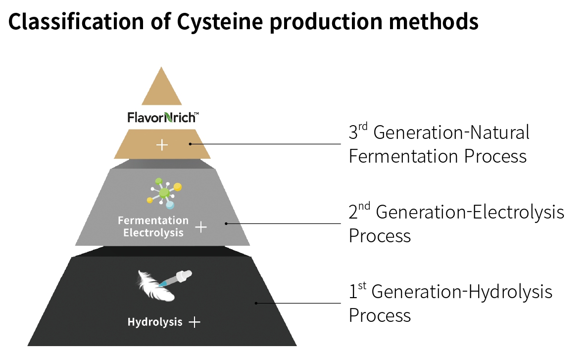 FlavorNrich™ Master C is the world’s first Vegan Cysteine created by CJ CheilJedang’s fermentation method that is gaining recognition as the next-generation eco-friendly food material.
