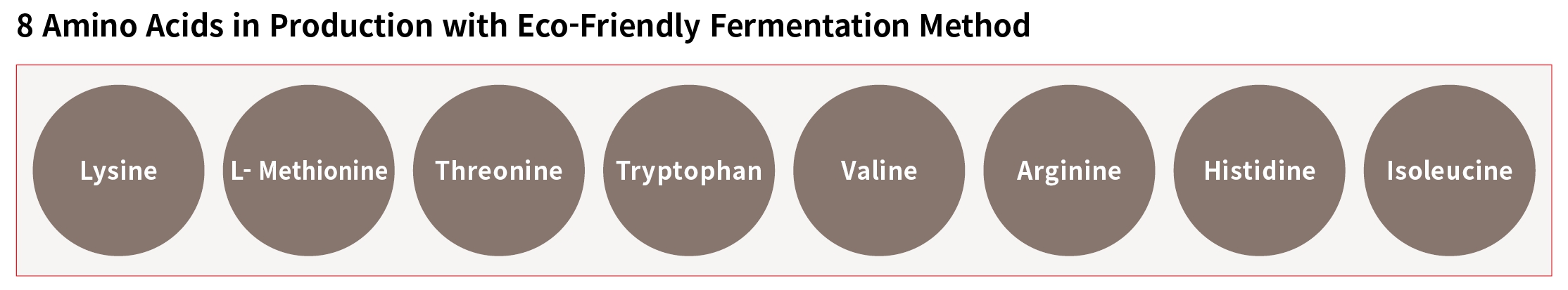 8 Anmino Acids in production with eco-friendly fermentation method