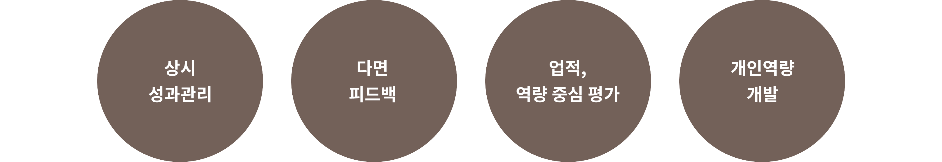 상시 성과관리, 다면 피드백, 업적, 역량 중심 평가, 개인역량 개발
